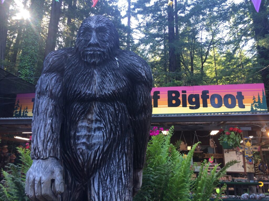 Exploring Bigfoot: Sightings and Legends