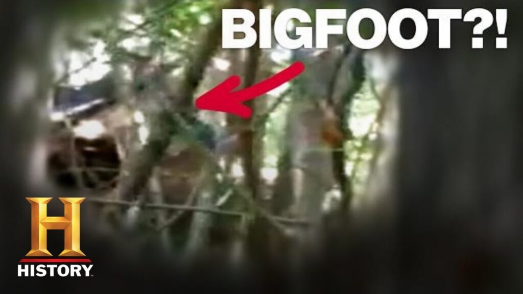 Uncovering the Latest Bigfoot Sightings