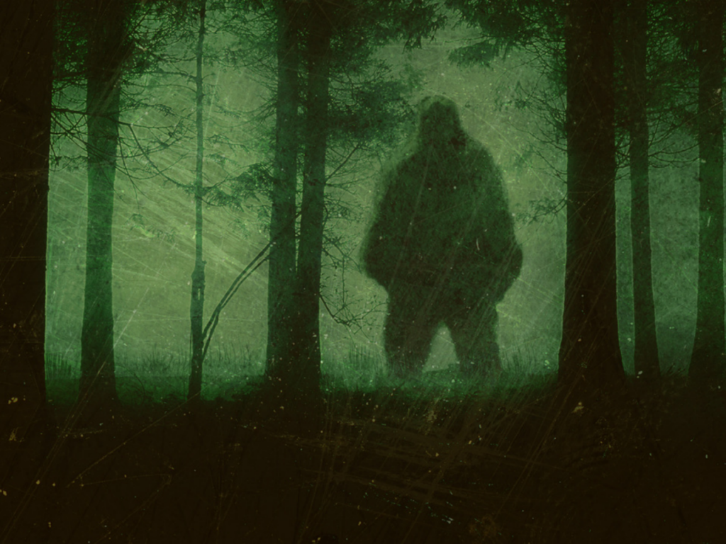 Uncovering the Latest Bigfoot Sightings