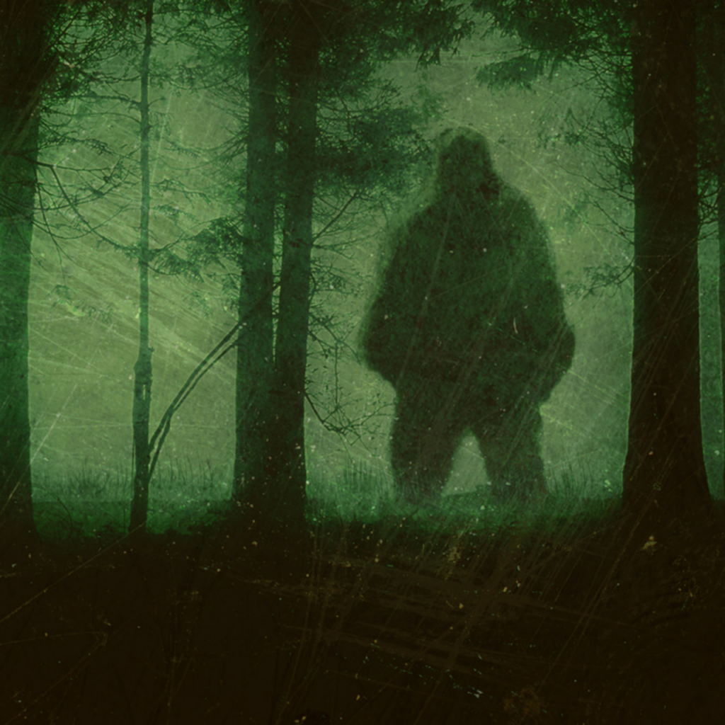 Uncovering the Truth: Bigfoot Sightings Revealed