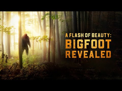 Uncovering the Truth: Bigfoot Sightings Revealed