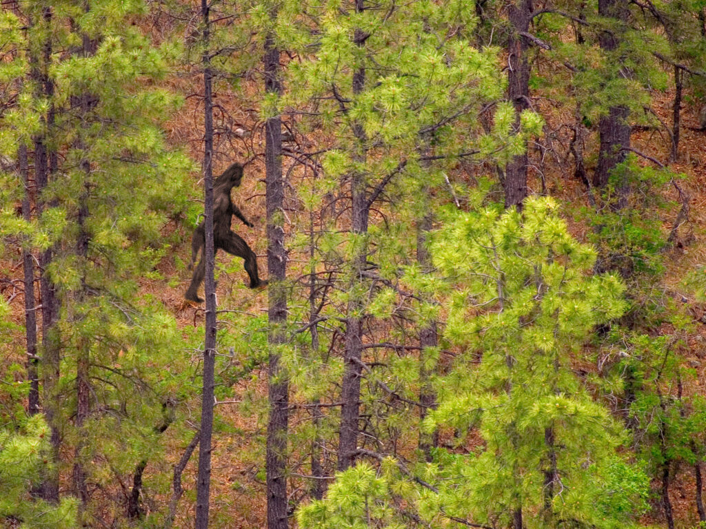 Unexplained Bigfoot Sightings in 2023