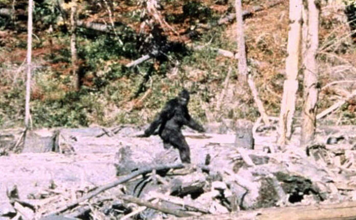 Unexplained Bigfoot Sightings in 2023