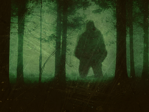 Unexplained Bigfoot Sightings in the Wilderness