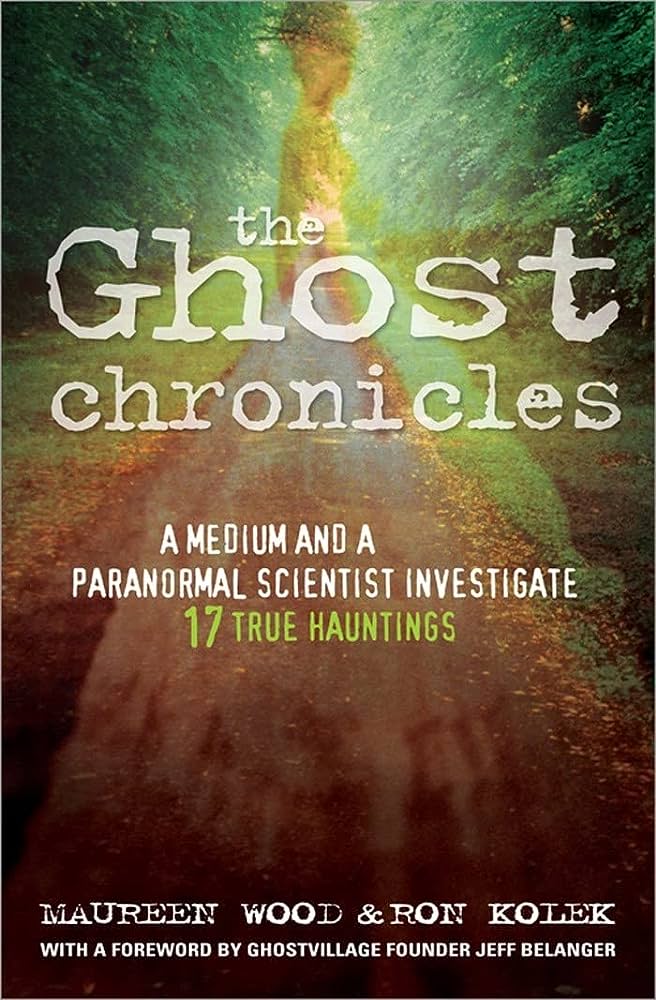 The Ghost Meter Chronicles